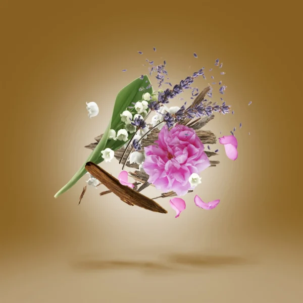 Alexandria ll, Xerjoff