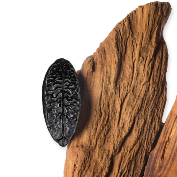 Carlisle, Parfums de Marly