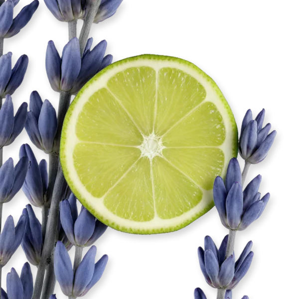 Percival, Parfums de Marly